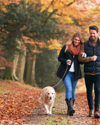 Høst 22 Shutterstock