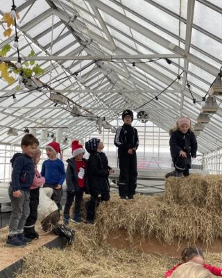 Jul i Selvåg gartneri hagesenter 3