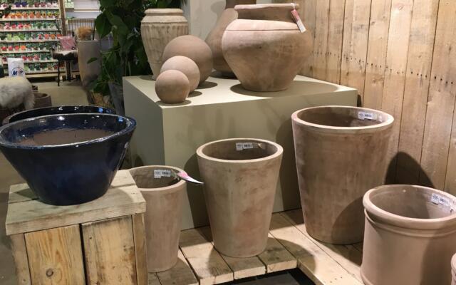 Butikke Selvåg Gartneri Hagesenter Img 1319